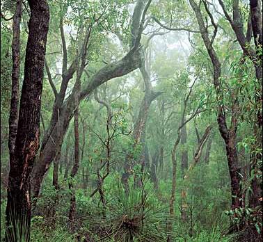 Voyage sur-mesure, Stirling Range National Park